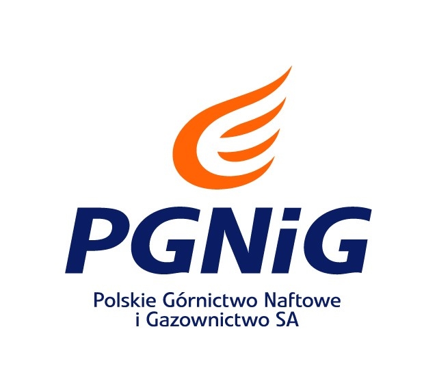PGNiG-Znak-podstawowy 1